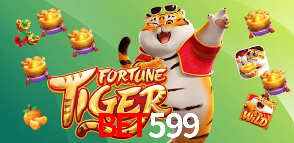 Experiência VIP bet599